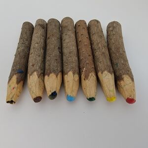 Rustic Hand Carved Wood Stick Twig Branch jumbo Colored Pencils/crayons & Pencil